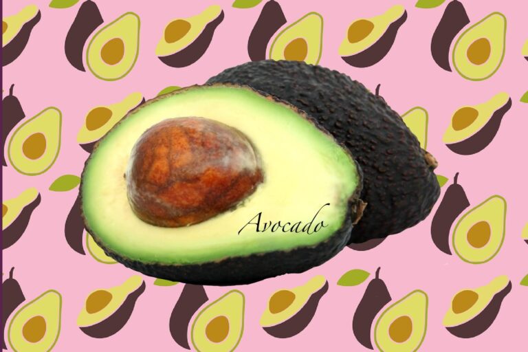 Avocado